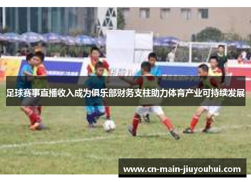 足球赛事直播收入成为俱乐部财务支柱助力体育产业可持续发展