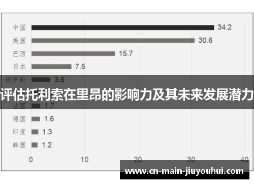 评估托利索在里昂的影响力及其未来发展潜力 评估托利索在里昂的影响力及其未来发展潜力